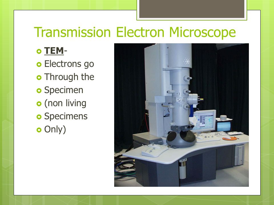 Transmission Electron Microscope  TEM-  Electrons go  Through the  Specimen  (non living  Specimens  Only)