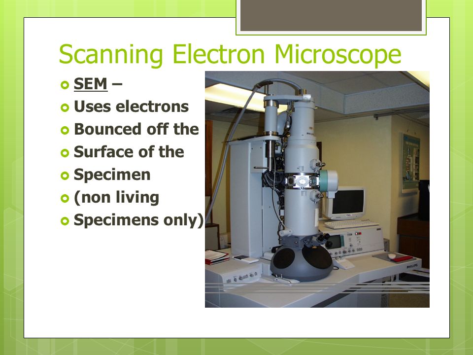 Scanning Electron Microscope  SEM –  Uses electrons  Bounced off the  Surface of the  Specimen  (non living  Specimens only)