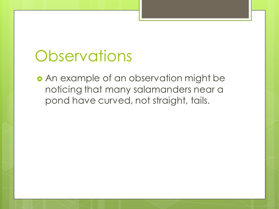 Observations  An example of an observation might be noticing that many salamanders near a pond have curved, not straight, tails.