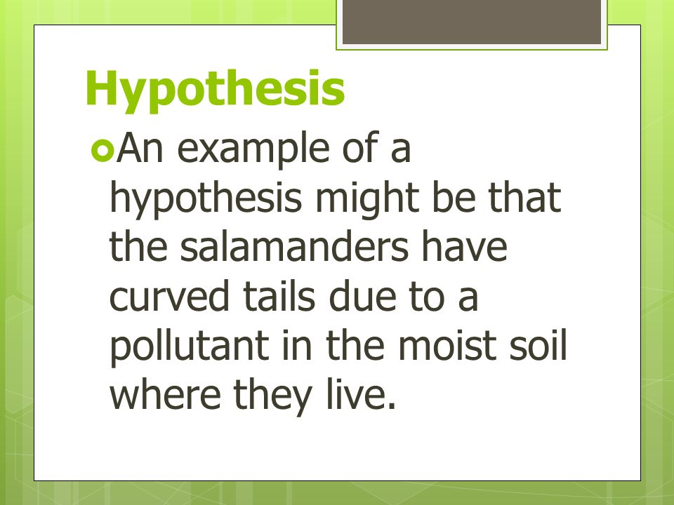 Hypothesis  An example of a hypothesis might be that the salamanders have curved tails due to a pollutant in the moist soil where they live.