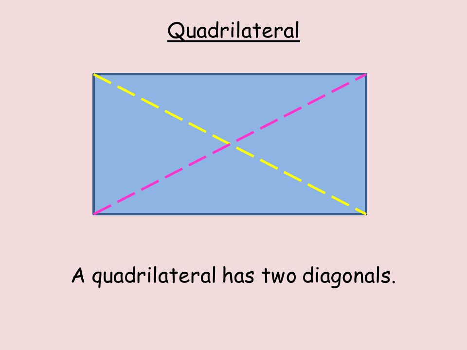 Quadrilateral A quadrilateral has two diagonals.