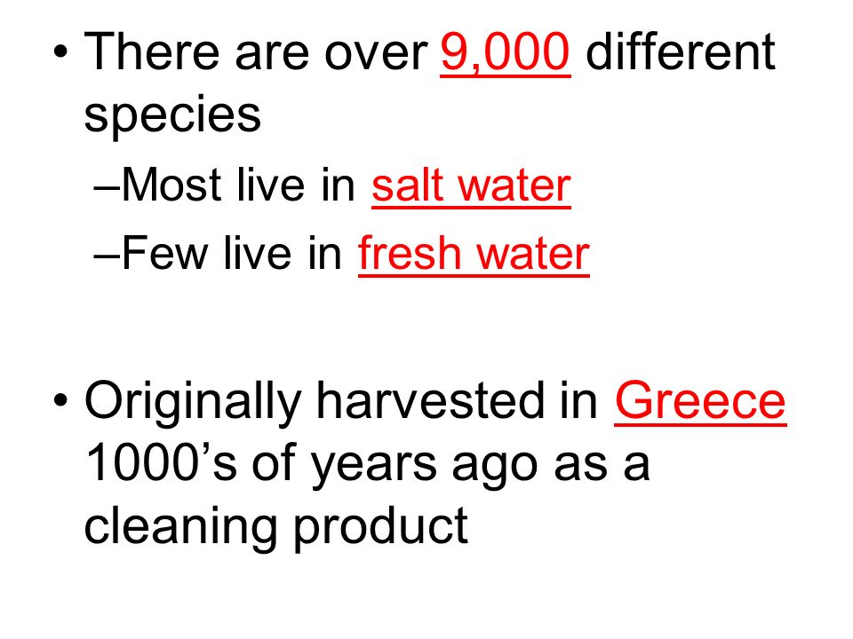 There are over 9,000 different species –Most live in salt water –Few live in fresh water Originally harvested in Greece 1000’s of years ago as a cleaning product