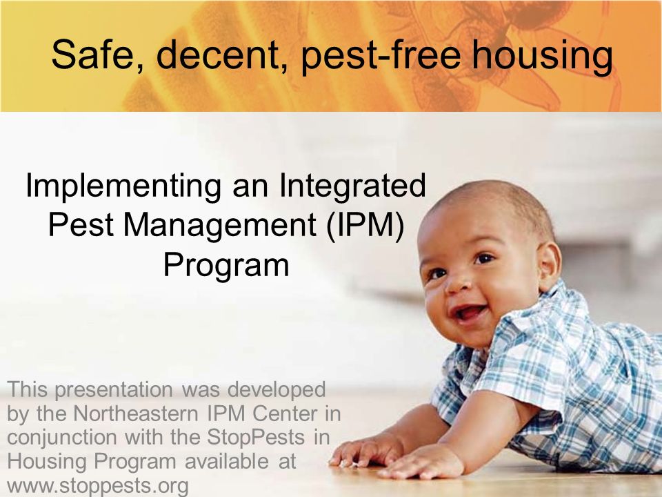Implementing an Integrated Pest Management (IPM) Program This presentation was developed by the Northeastern IPM Center in conjunction with the StopPests in Housing Program available at   Safe, decent, pest-free housing