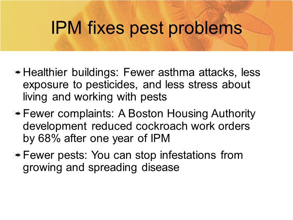 IPM fixes pest problems Healthier buildings: Fewer asthma attacks, less exposure to pesticides, and less stress about living and working with pests Fewer complaints: A Boston Housing Authority development reduced cockroach work orders by 68% after one year of IPM Fewer pests: You can stop infestations from growing and spreading disease