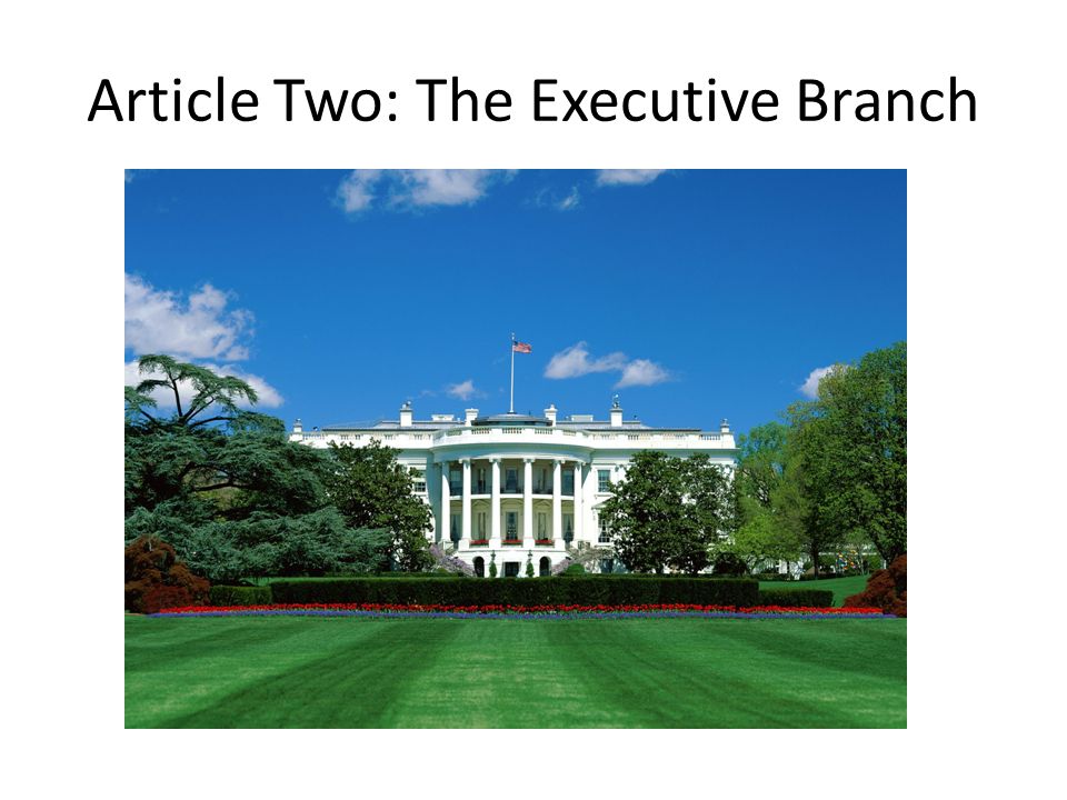 Article Two: The Executive Branch