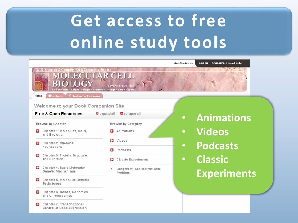 Get access to free online study tools Get access to free online study tools Animations Videos Podcasts Classic Experiments