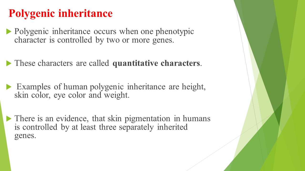 an analysis of heredity and gene inheritance in peoples health and physical appearance Genetic markers- not a valid test of native identity their native american heritage with genetic analysis in the biological inheritance. an analysis of heredity and gene inheritance in peoples health and physical appearance Genetic markers- not a valid test of native identity their native american heritage with genetic analysis in the biological inheritance.
