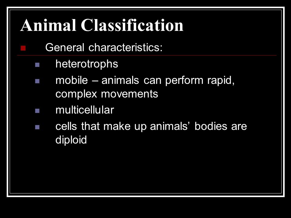 Animal Classification General characteristics: heterotrophs mobile – animals can perform rapid, complex movements multicellular cells that make up animals’ bodies are diploid