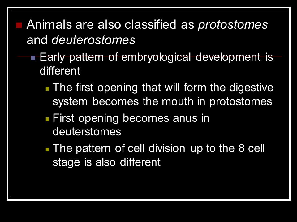 Animals are also classified as protostomes and deuterostomes Early pattern of embryological development is different The first opening that will form the digestive system becomes the mouth in protostomes First opening becomes anus in deuterstomes The pattern of cell division up to the 8 cell stage is also different