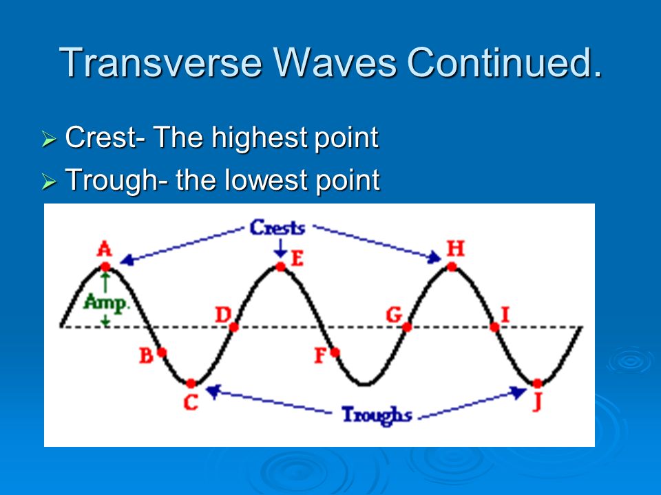 Transverse Waves Continued.  Crest- The highest point  Trough- the lowest point