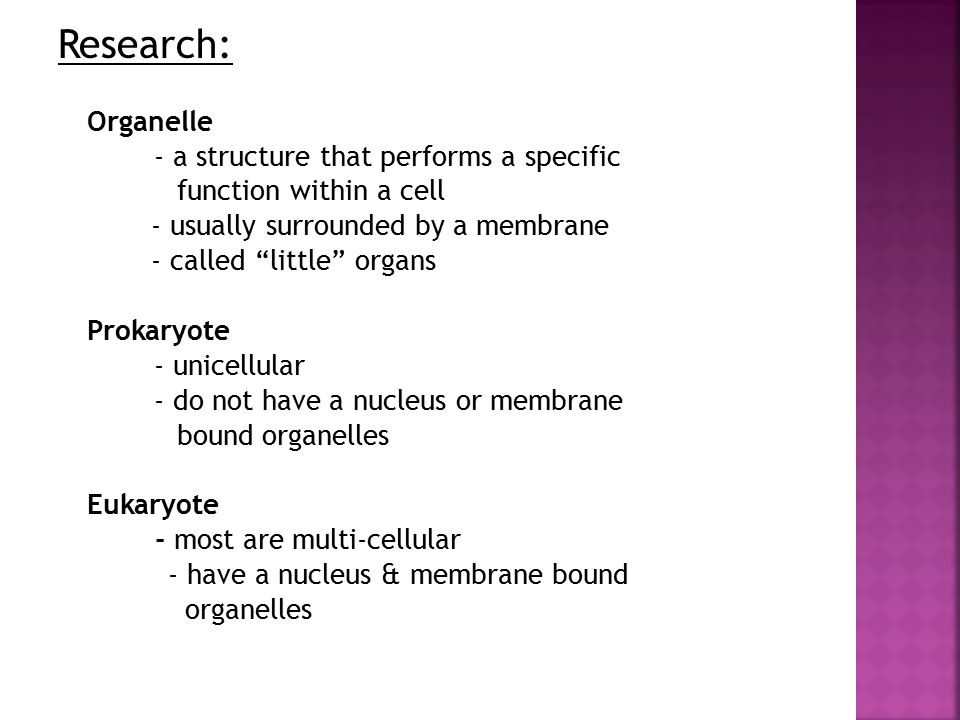 Research: Organelle - a structure that performs a specific function within a cell - usually surrounded by a membrane - called little organs Prokaryote - unicellular - do not have a nucleus or membrane bound organelles Eukaryote - most are multi-cellular - have a nucleus & membrane bound organelles