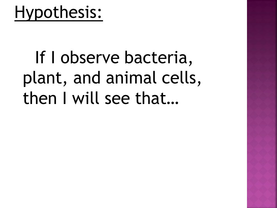 Hypothesis: If I observe bacteria, plant, and animal cells, then I will see that…