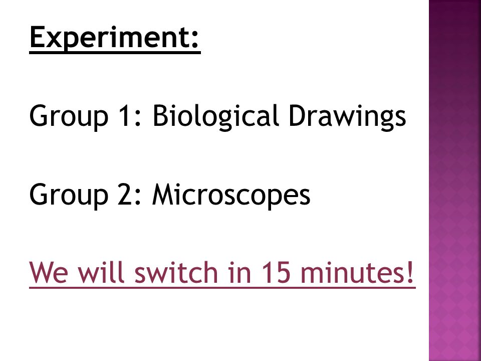 Experiment: Group 1: Biological Drawings Group 2: Microscopes We will switch in 15 minutes!
