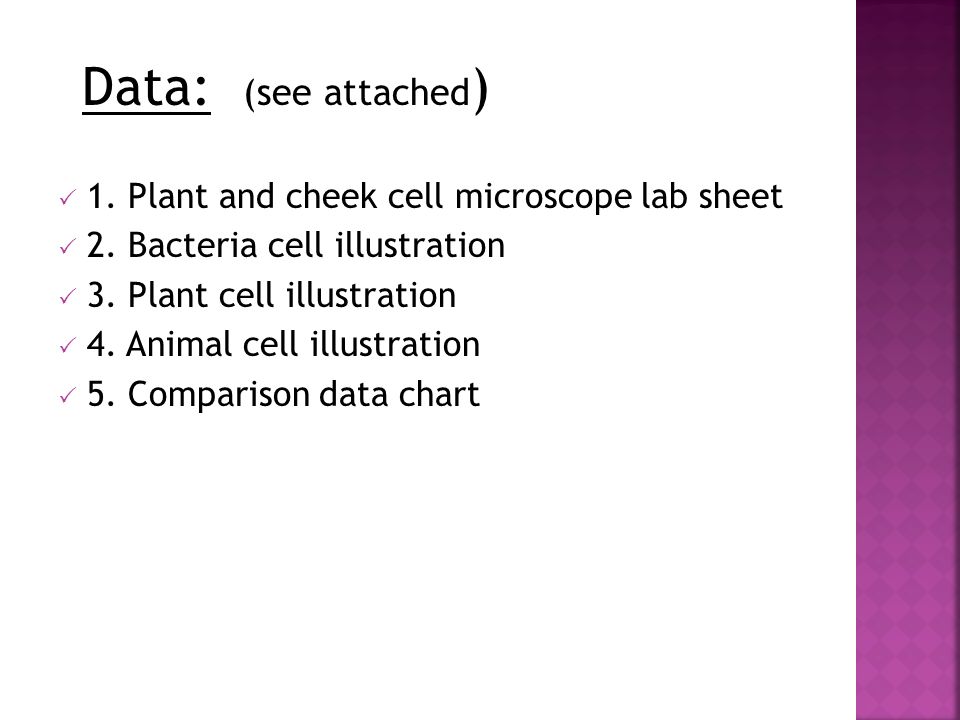  1. Plant and cheek cell microscope lab sheet  2.