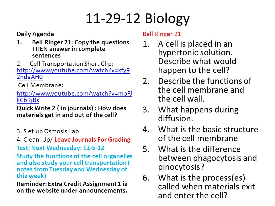 Biology Daily Agenda 1.Bell Ringer 21: Copy the questions THEN answer in complete sentences 2.