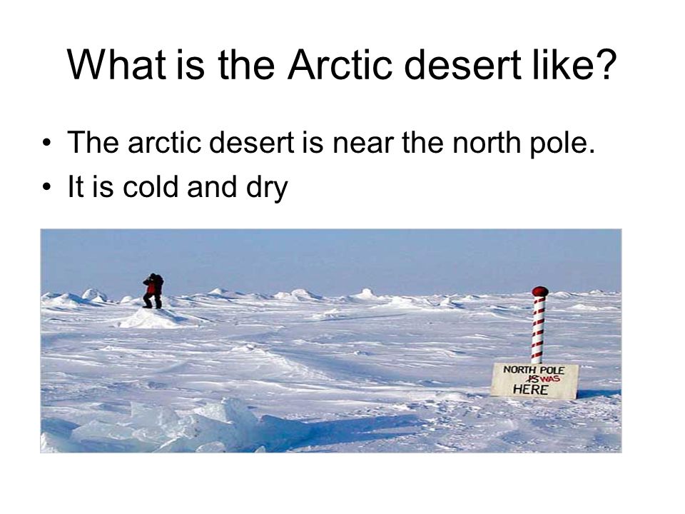 What is the Arctic desert like The arctic desert is near the north pole. It is cold and dry