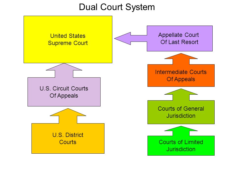 dual court system