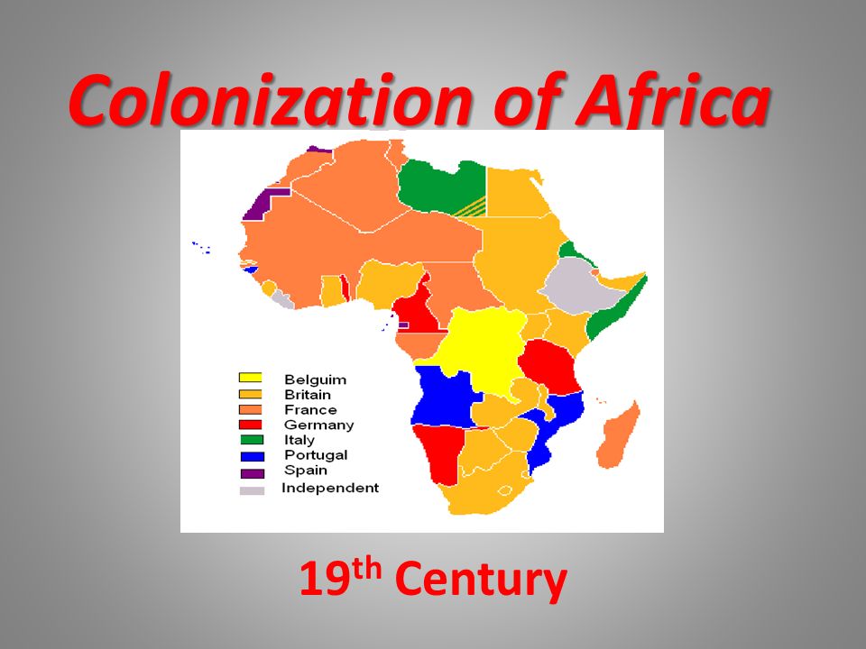 Colonization of Africa 19 th Century