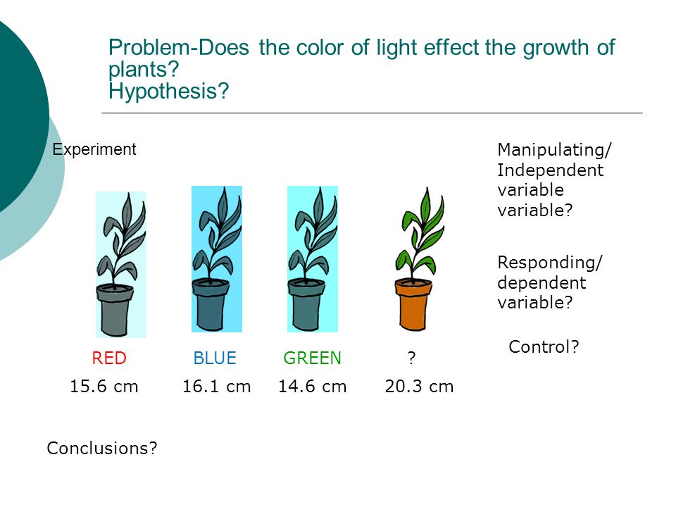 Experiment Problem-Does the color of light effect the growth of plants.