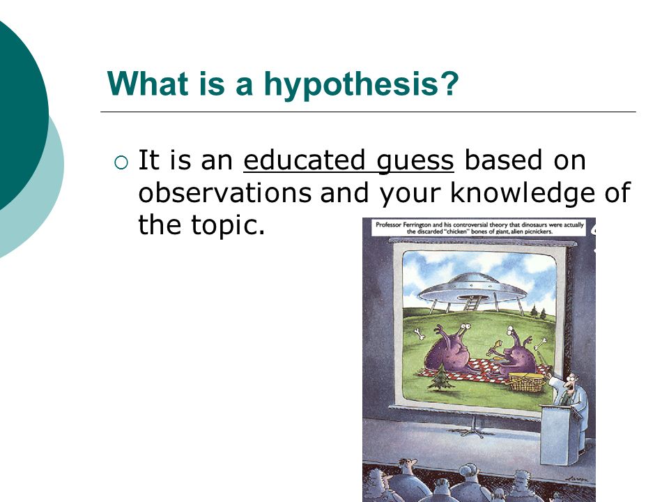 What is a hypothesis.