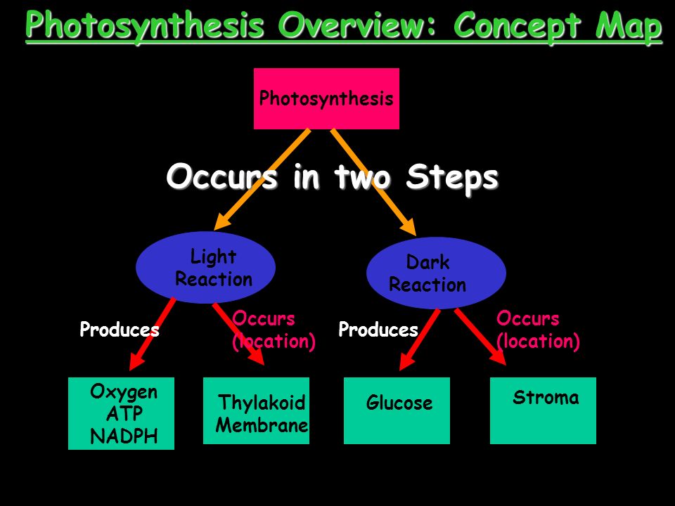 use photosythesis Photosynthesis is a chemical process that occurs in many forms of it can also be used to predict the abundance and type of submersed plants we would expect to. use photosythesis Photosynthesis is a chemical process that occurs in many forms of it can also be used to predict the abundance and type of submersed plants we would expect to.