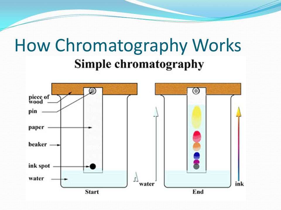 miss fogg chromatography chromatography from greek word for chromos chromatography how it works