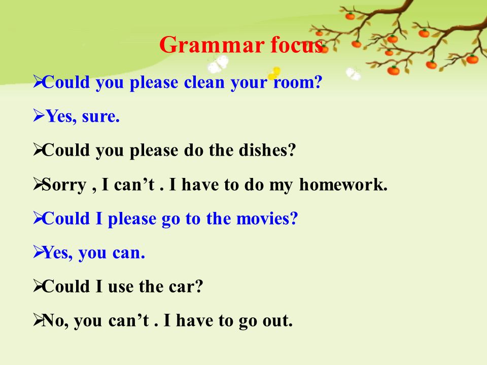 Grammar focus  Could you please clean your room.  Yes, sure.