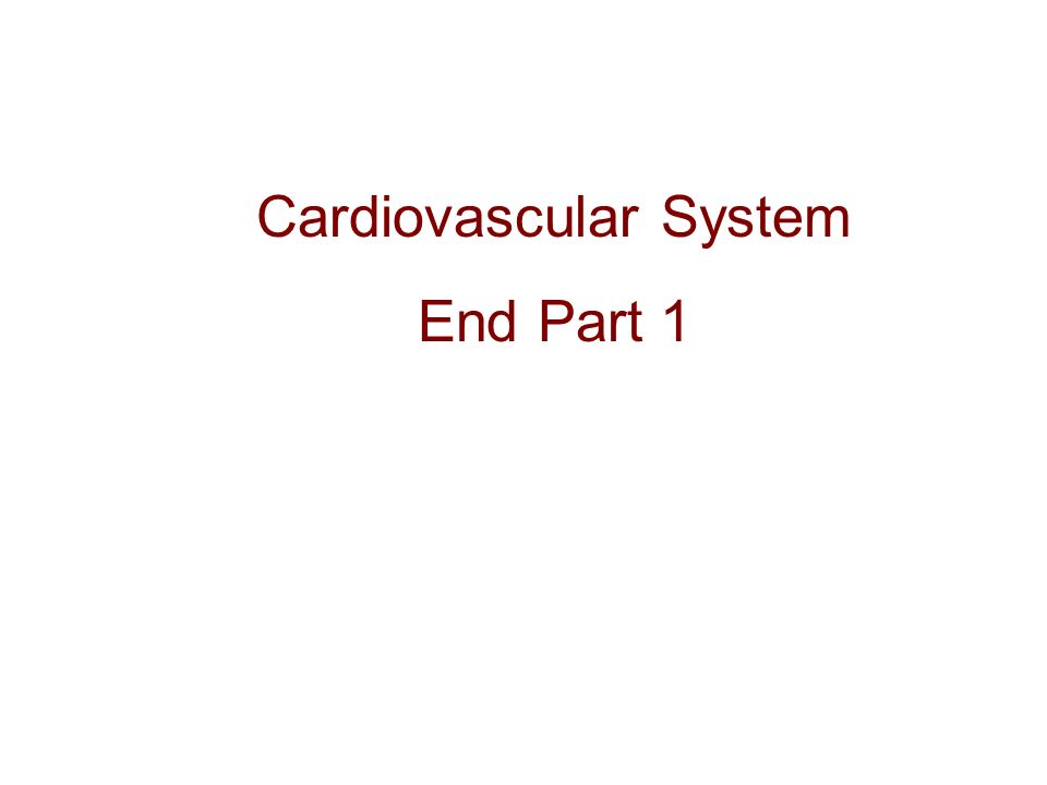 Cardiovascular System End Part 1