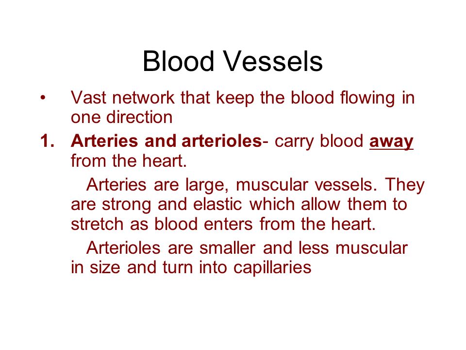 Blood Vessels Vast network that keep the blood flowing in one direction 1.Arteries and arterioles- carry blood away from the heart.