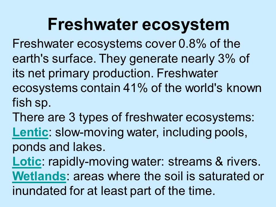freshwater ecosystems essay freshwater ecosystems essay