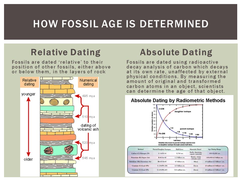 the method of dating fossils by their position