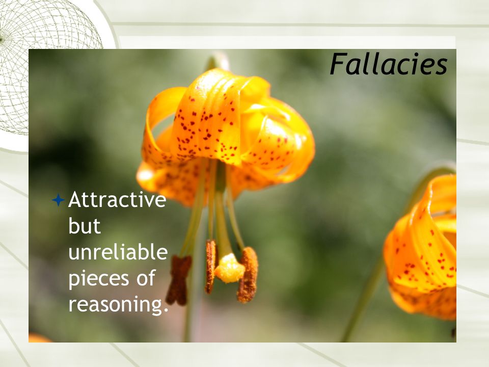 Fallacies  Attractive but unreliable pieces of reasoning.