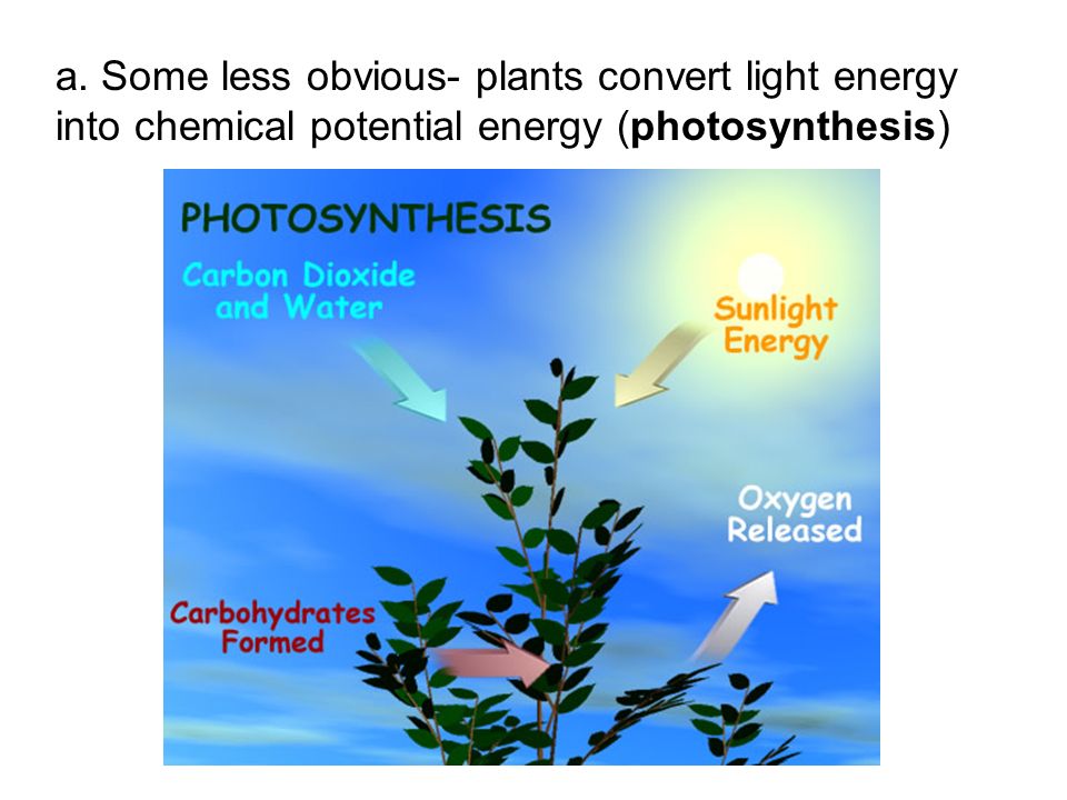 a. Some less obvious- plants convert light energy into chemical potential energy (photosynthesis)