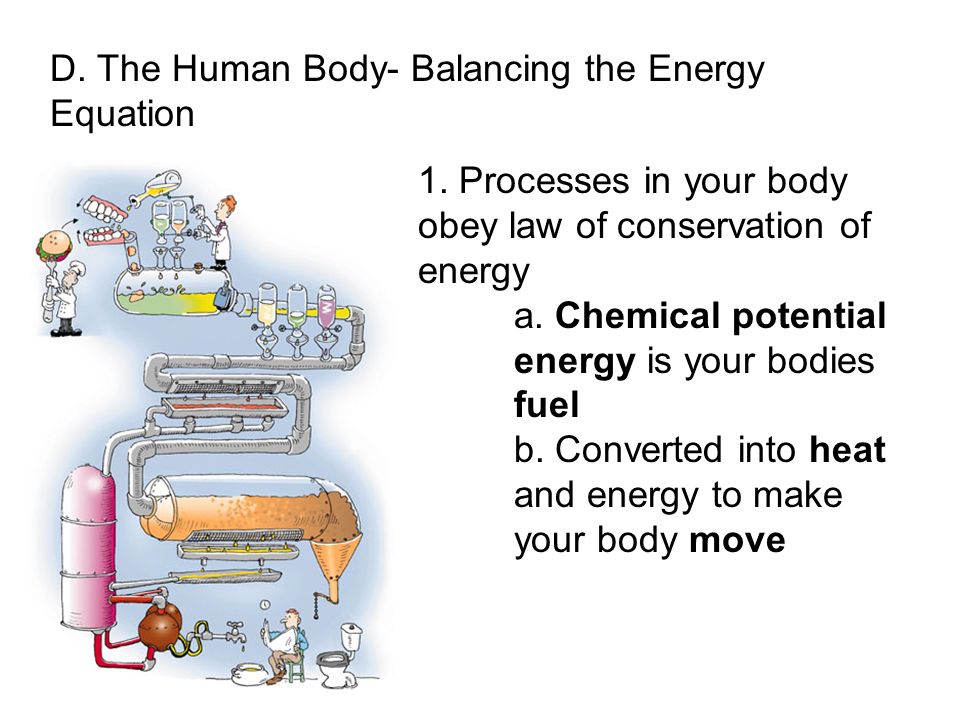 D. The Human Body- Balancing the Energy Equation 1.