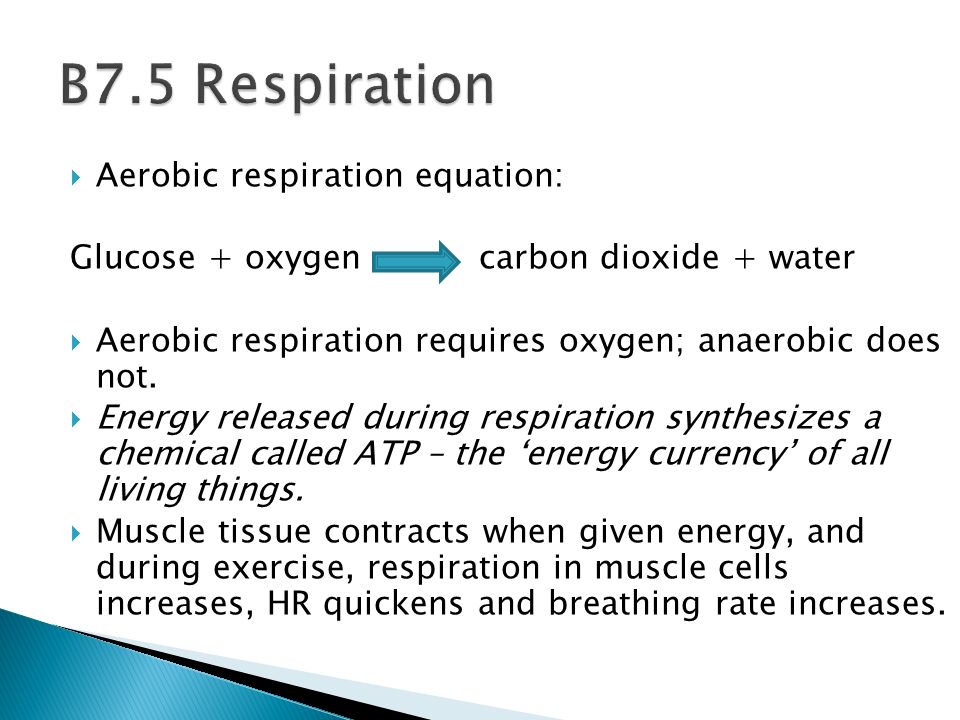 Biology Across The Ecosystem All Organisms Are Dependent On Aerobic Respiration Equation Glucose Oxygen Carbon Dioxide Water Requires