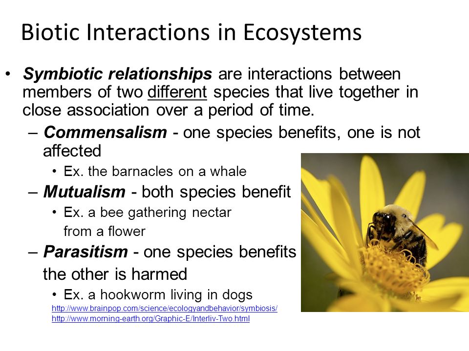 biotic interactions