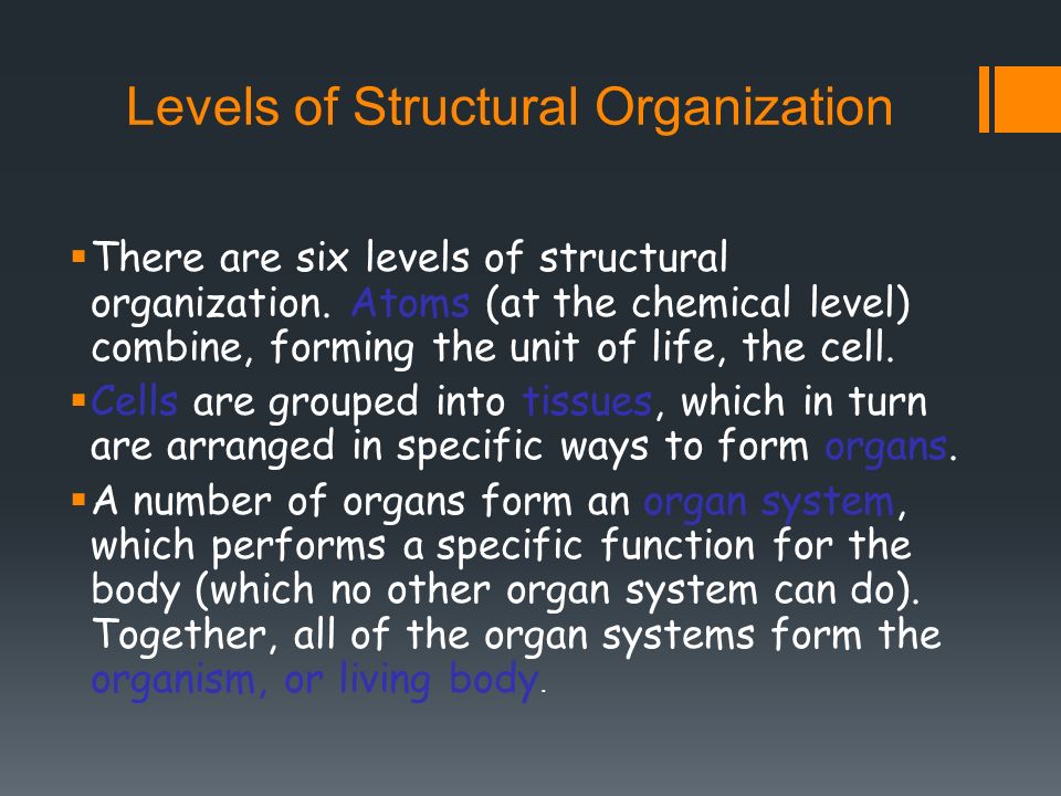 6 levels of organization Study flashcards on anatomy & physiology - ch 1 levels of organization / body systems / life processes at cramcom quickly. 6 levels of organization Study flashcards on anatomy & physiology - ch 1 levels of organization / body systems / life processes at cramcom quickly.
