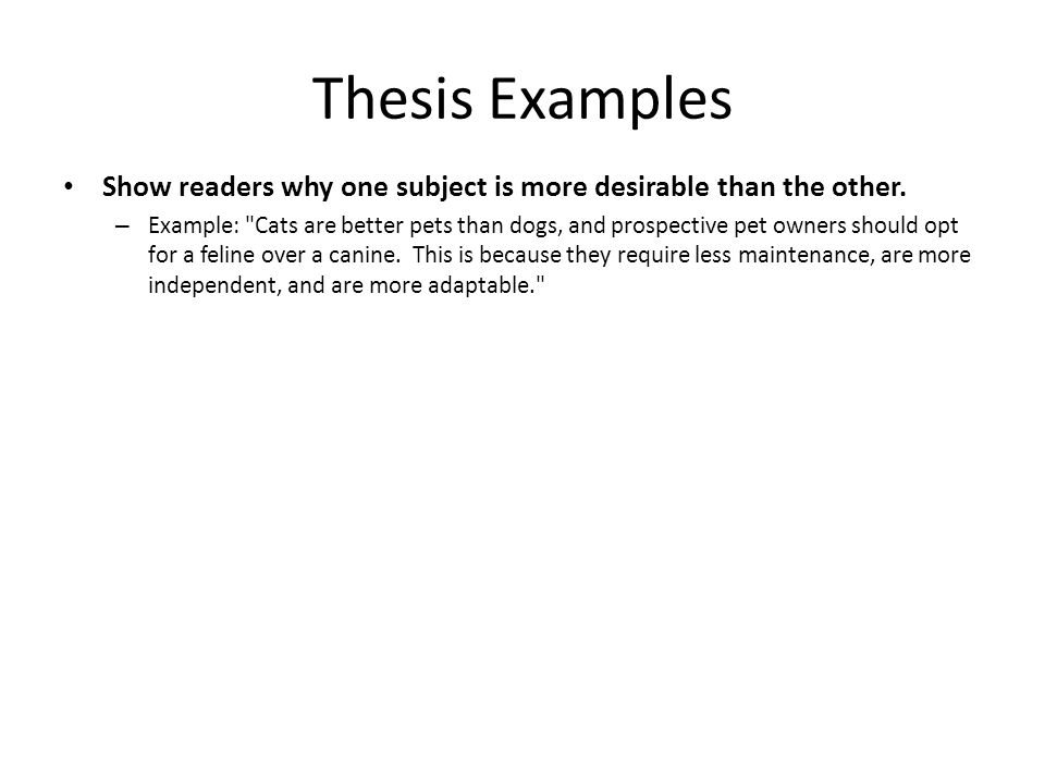 pet essay sample