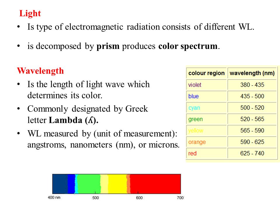 what does a spectrophotometer measure