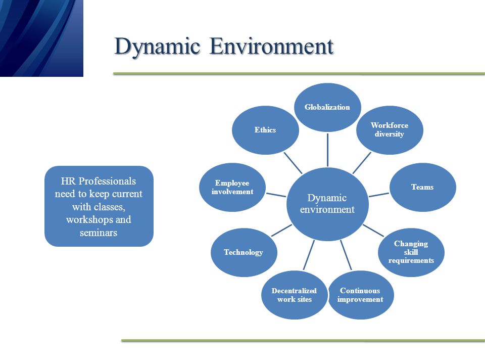 hrm in a dynamic environment Home essays recommendations hrm “human resource management refers to the activities undertaken to attract hrm in a dynamic environment essay. hrm in a dynamic environment Home essays recommendations hrm “human resource management refers to the activities undertaken to attract hrm in a dynamic environment essay.