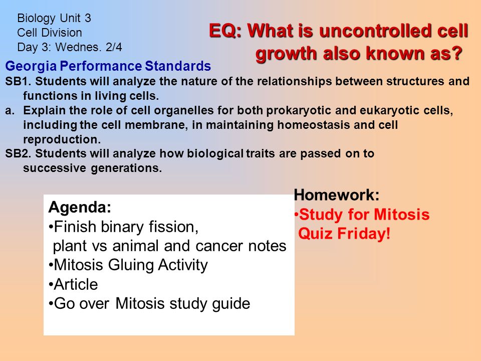 essay format grade 10 essay format grade 10