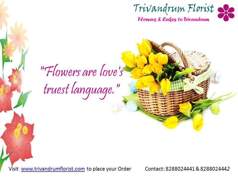 Flowers are love s truest language. Visit   to place your Order Contact: & www.trivandrumflorist.com