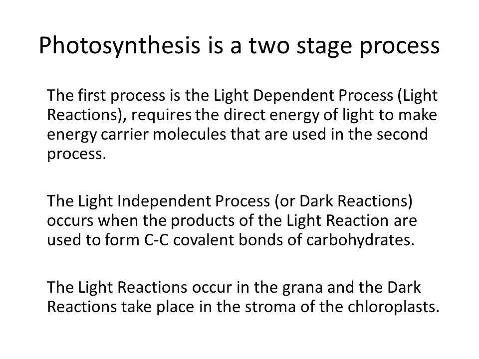 Photosynthesis Light Dependent Reactions Part Two Photosystem I Photosynthesis Is A Two Stage Process The First Light Dependent