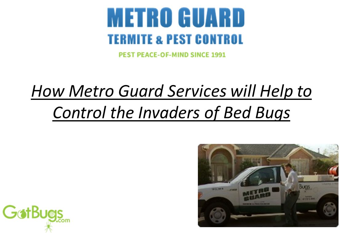 How Metro Guard Services will Help to Control the Invaders of Bed Bugs