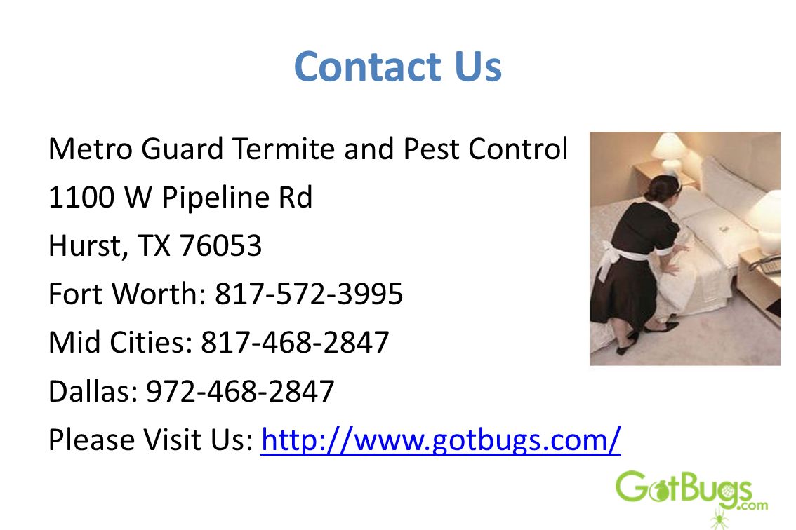 Contact Us Metro Guard Termite and Pest Control 1100 W Pipeline Rd Hurst, TX Fort Worth: Mid Cities: Dallas: Please Visit Us: