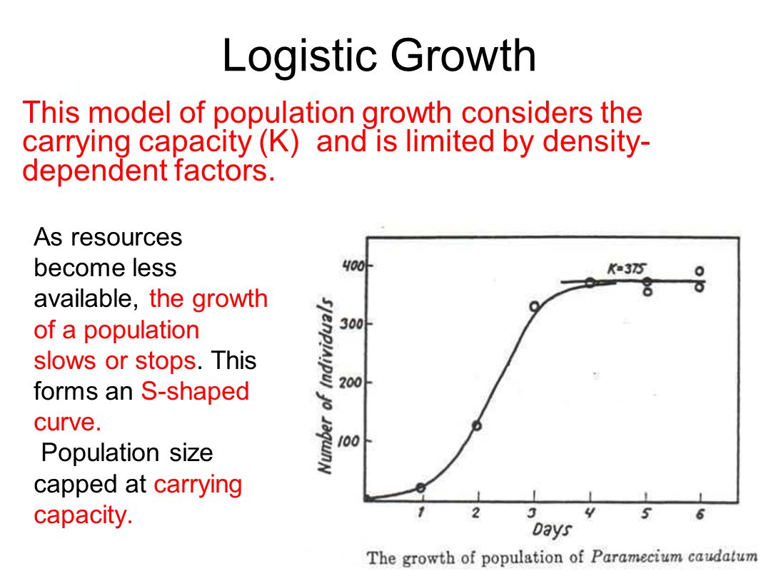 carrying capacity and paramecium aurelia population Biology chapter 5 section 1 review if a population grows larger than the carrying capacity of the graph i shows the curve for a culture of paramecium aurelia. carrying capacity and paramecium aurelia population Biology chapter 5 section 1 review if a population grows larger than the carrying capacity of the graph i shows the curve for a culture of paramecium aurelia.