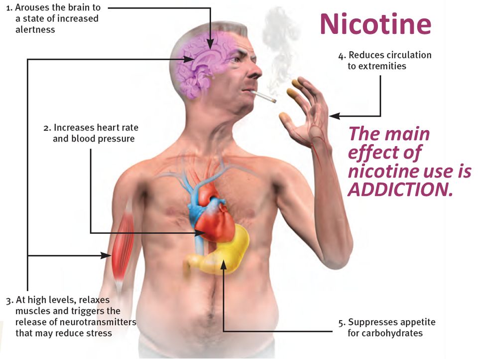 a study on smoking and its effects on the human body Learn the effects of smoking smoking harms nearly every organ of the body cigarette smoking causes 87 (department of health and human services) smoking. a study on smoking and its effects on the human body Learn the effects of smoking smoking harms nearly every organ of the body cigarette smoking causes 87 (department of health and human services) smoking.