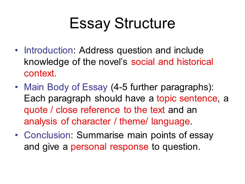Essay Questions On Of Mice And Men