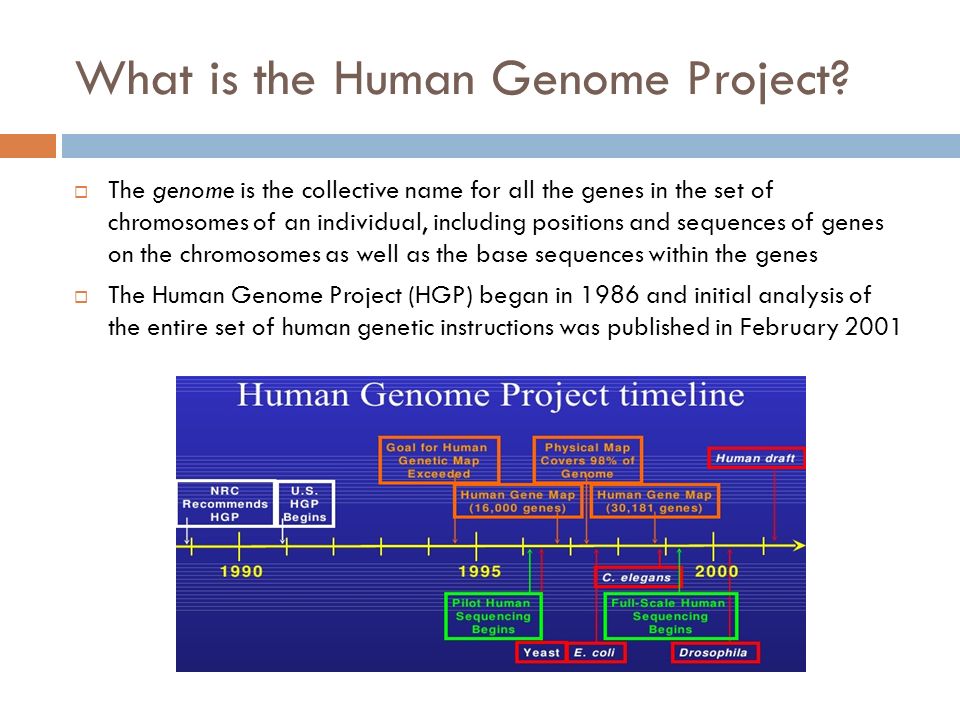 a history and the development of the human genome project A view from susan young rojahn a decade of advances since the human genome project despite breakthroughs in technology and medicine, there’s still a lot of work ahead for understanding and using the human genome. a history and the development of the human genome project A view from susan young rojahn a decade of advances since the human genome project despite breakthroughs in technology and medicine, there’s still a lot of work ahead for understanding and using the human genome.