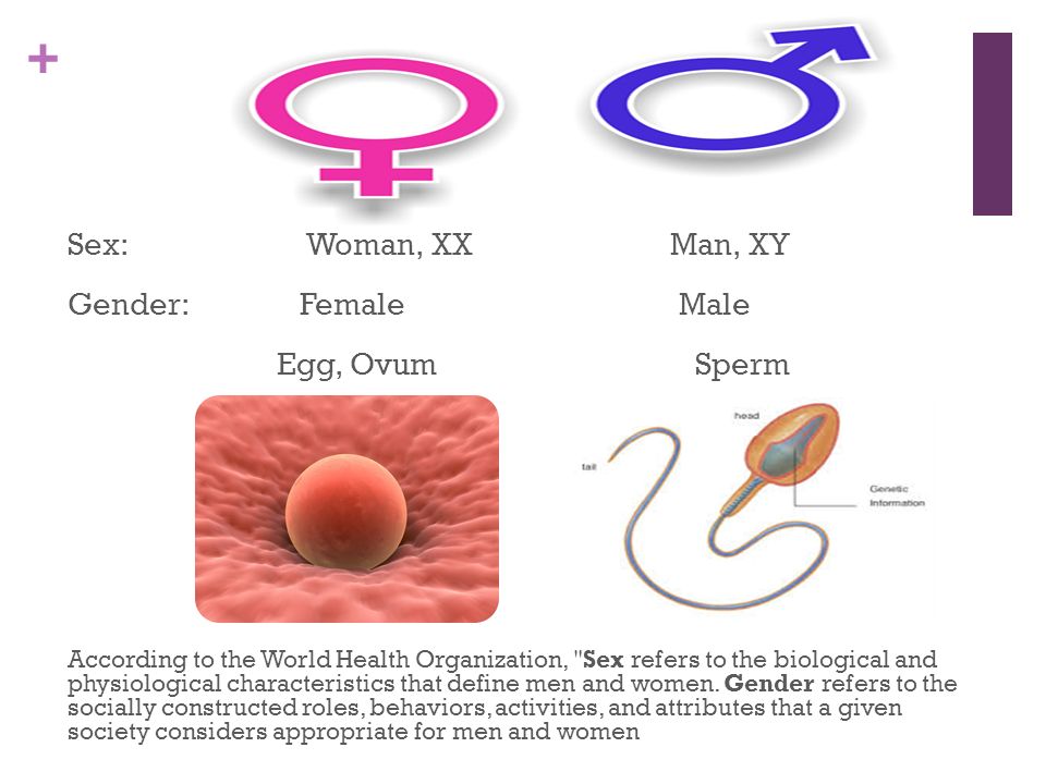 Spunk cum pussy porn Socially constructed sperm
